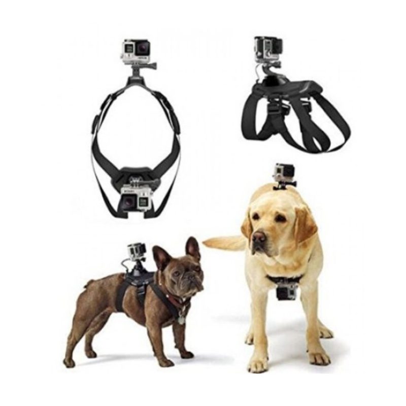 Dog harness mount