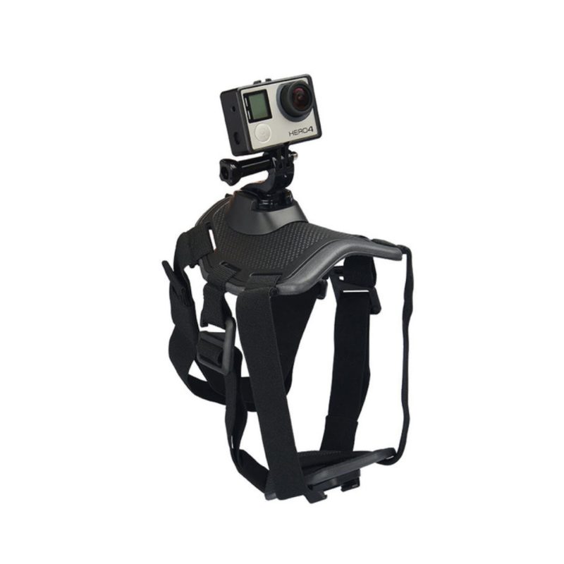Dog harness mount